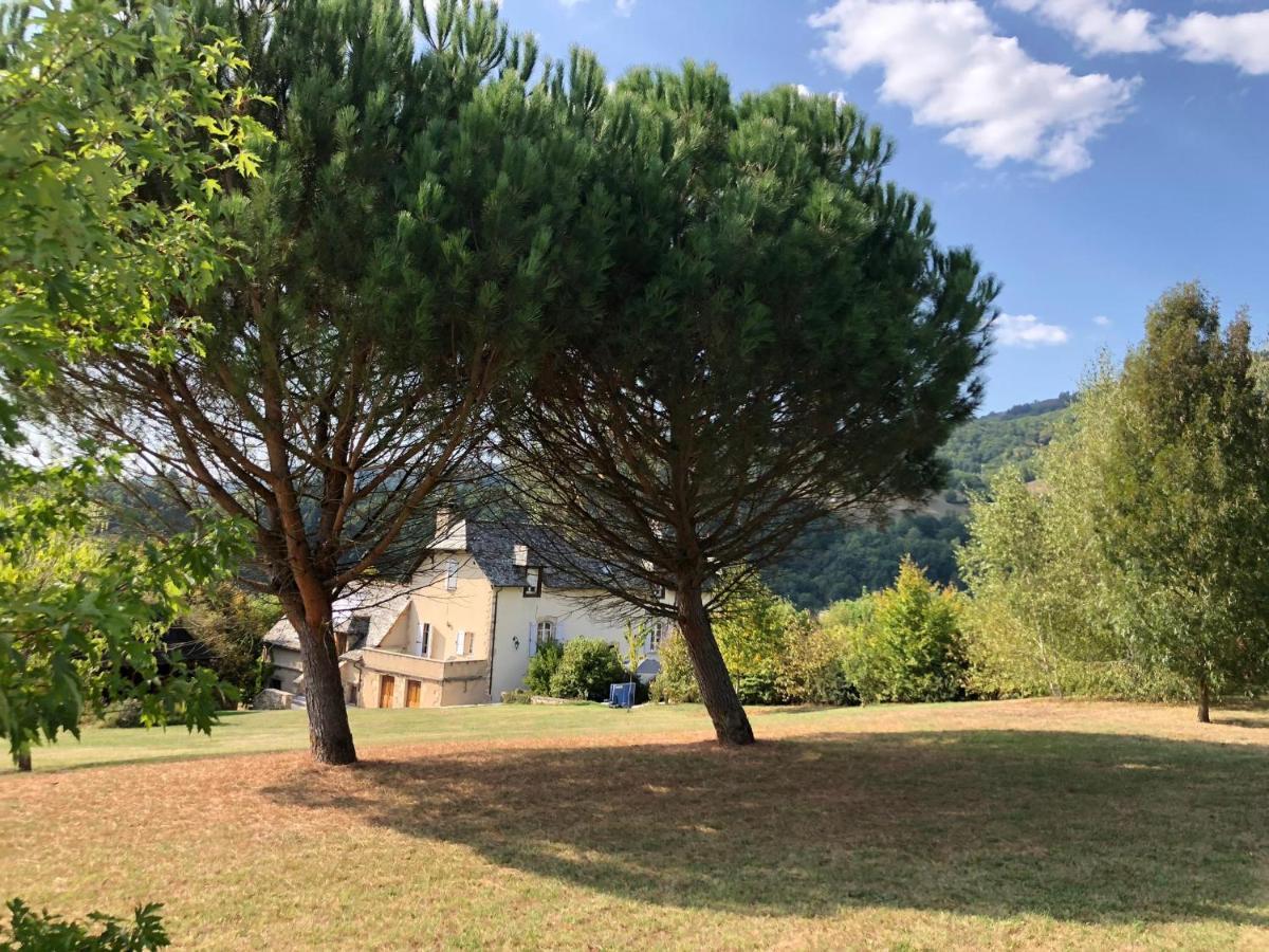 Le Clos St Georges Entraygues-sur-Truyère Zewnętrze zdjęcie